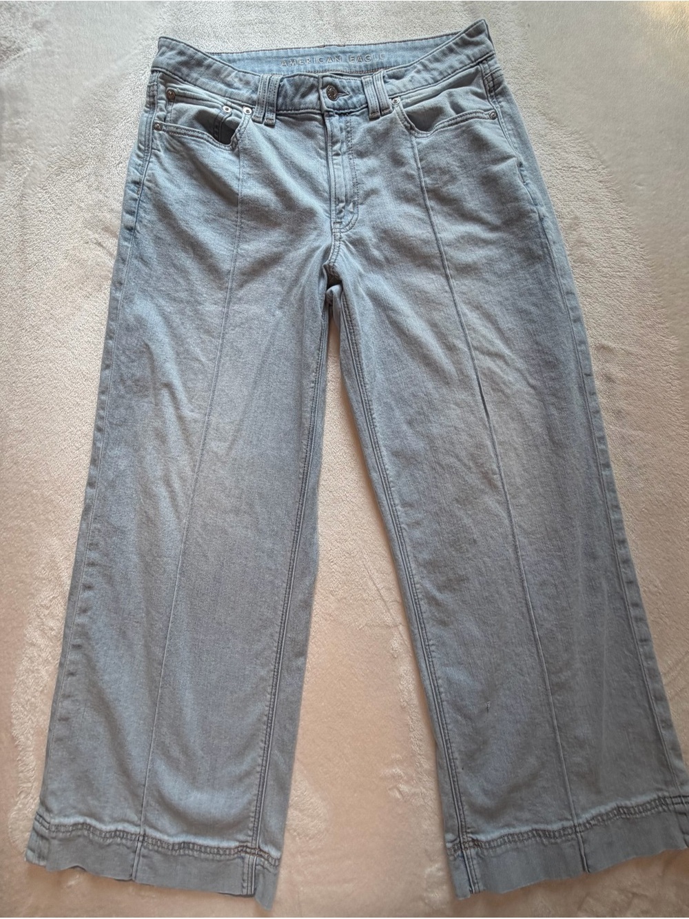 American Eagle Outfitters Light Wash Low Rise Baggy Wide Leg Jeans Sz 8